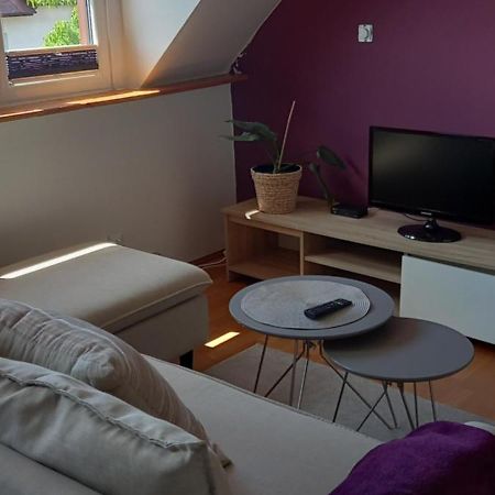 Apartamento Domek Pod Sosnami Pokoje 2-3 Osobowe Mielno  Exterior foto
